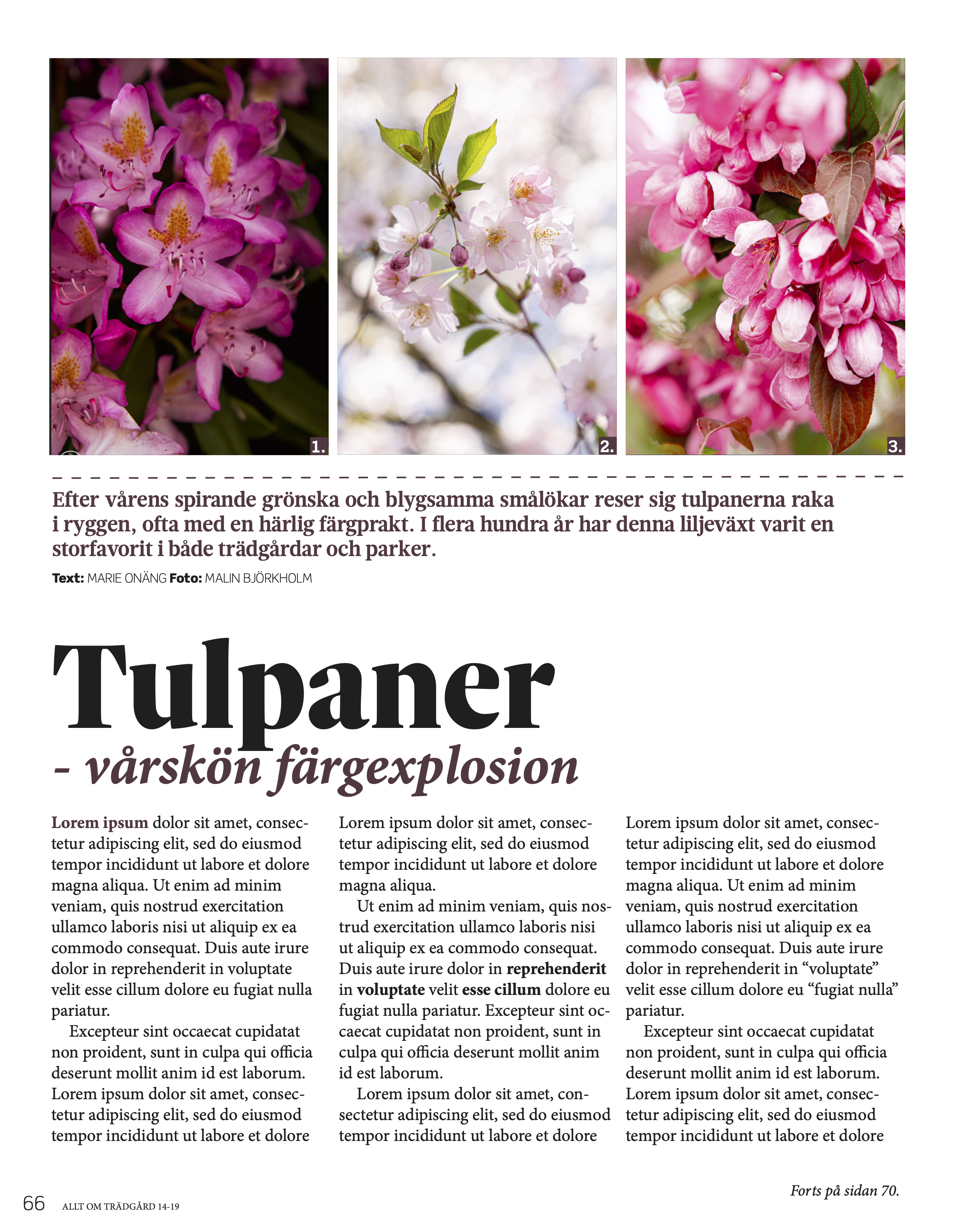 Coffetable magazine